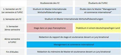 Studienverlaufsplan IWB-MCI